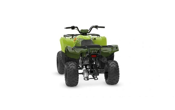 2026 Yamaha Grizzly 110