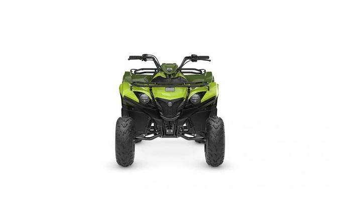 2026 Yamaha Grizzly 110