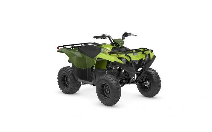 2026 Yamaha Grizzly 110