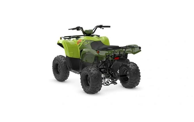 2026 Yamaha Grizzly 110