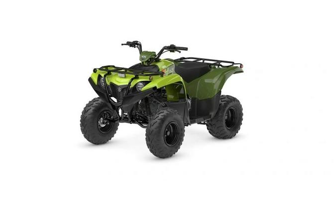 2026 Yamaha Grizzly 110
