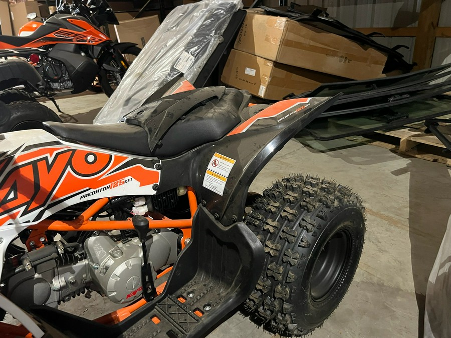 2025 Kayo Predator 125 EFI