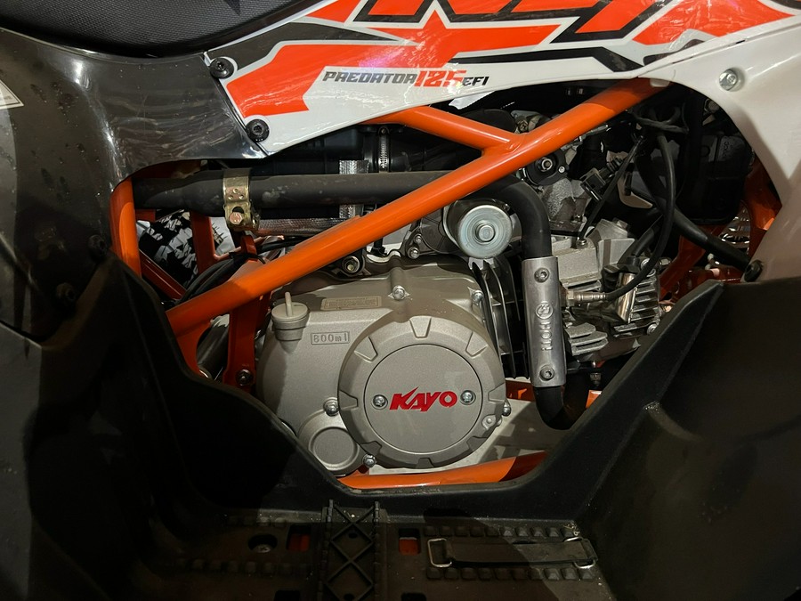 2025 Kayo Predator 125 EFI