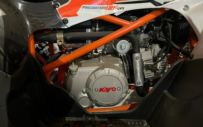2025 Kayo Predator 125 EFI