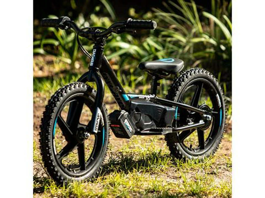 2025 Stacyc 16eDRIVE Brushless