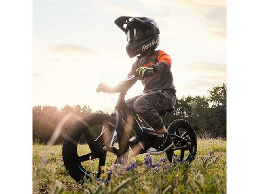 2025 Stacyc 16eDRIVE Brushless