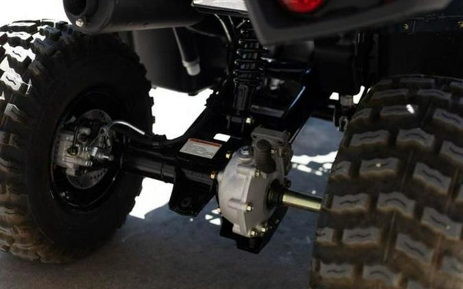 2026 Kawasaki Brute Force 300