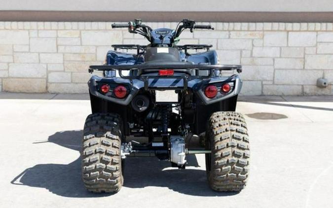 2026 Kawasaki Brute Force 300