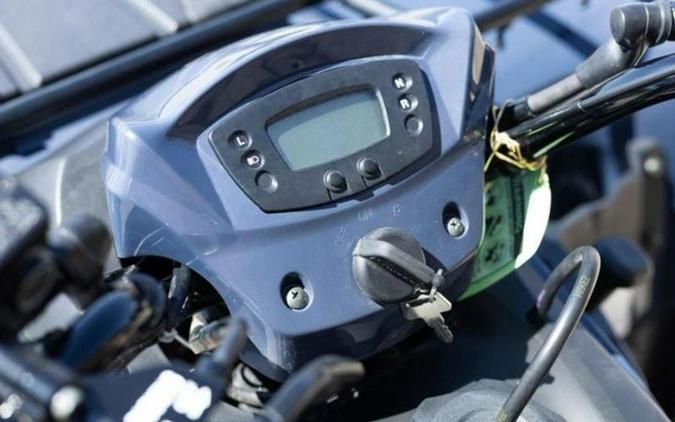 2026 Kawasaki Brute Force 300
