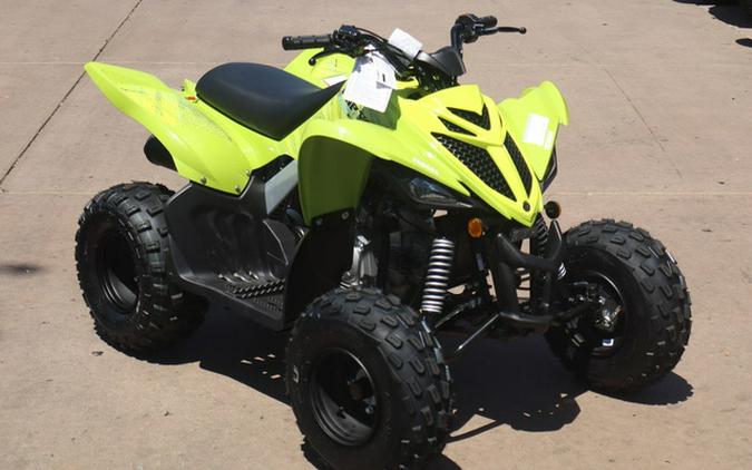 2026 Yamaha Raptor 110