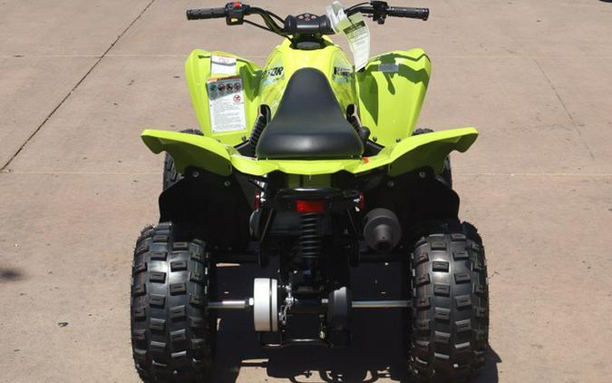 2026 Yamaha Raptor 110