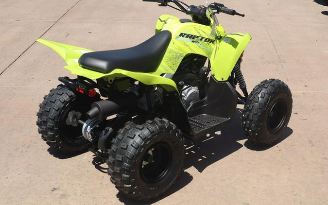 2026 Yamaha Raptor 110