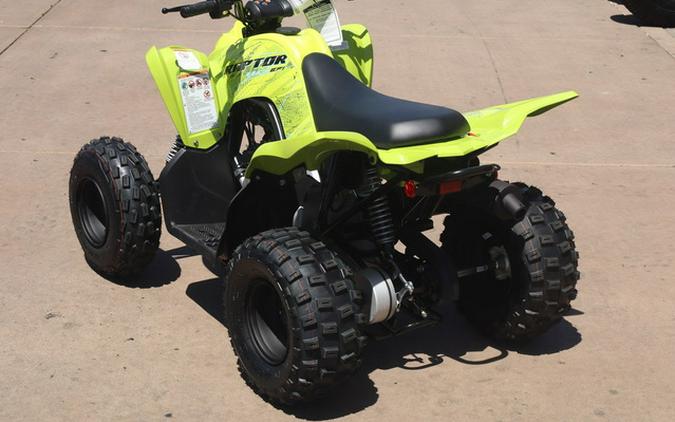 2026 Yamaha Raptor 110