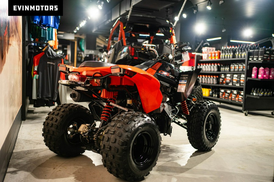 2023 Can-AM ATV DS 2X4 250-4ST RD 23