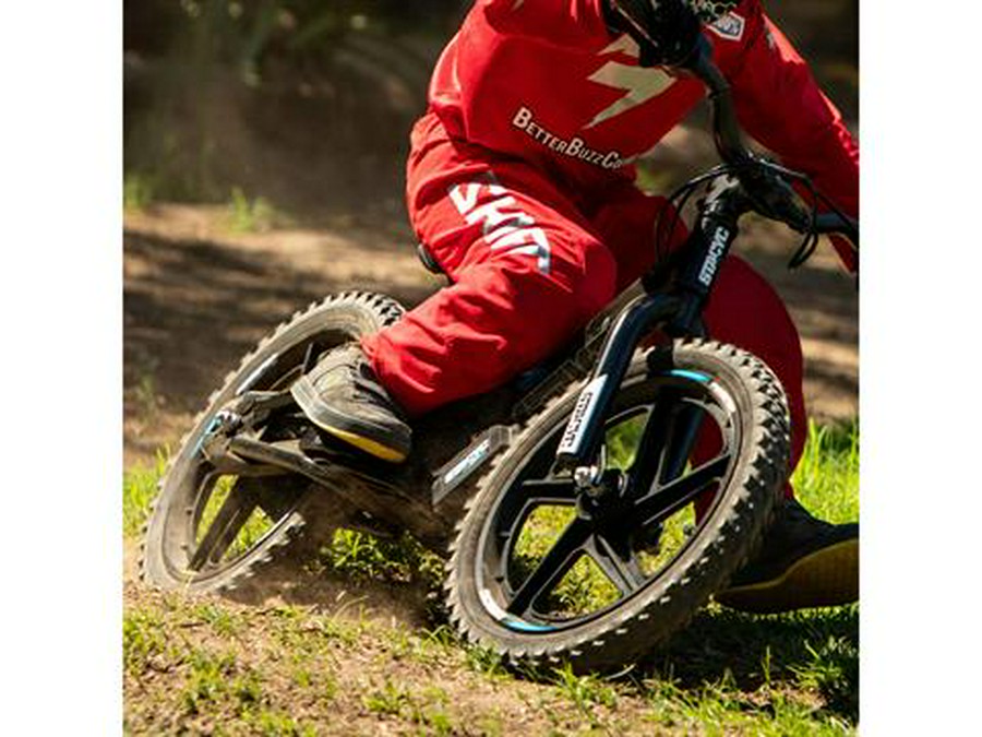 2025 Stacyc 16eDRIVE Brushless