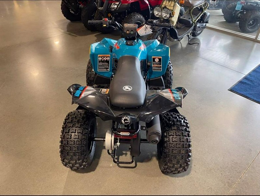 2026 Can-Am® Renegade 70 EFI