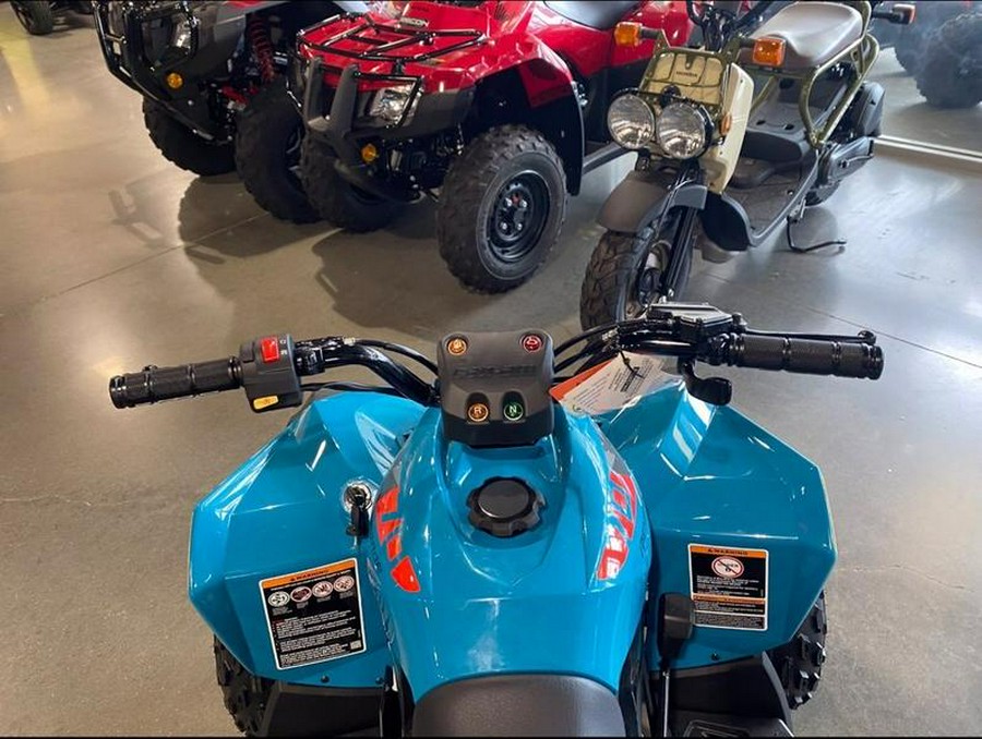 2026 Can-Am® Renegade 70 EFI