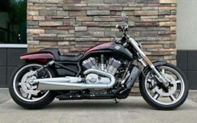 Used harley v rod shop for sale