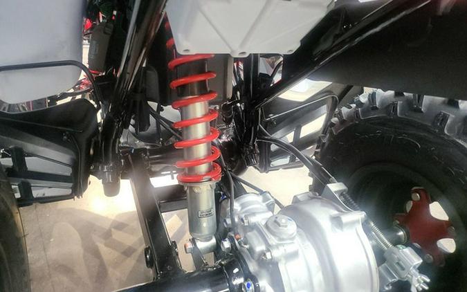 2026 Honda TRX 250X
