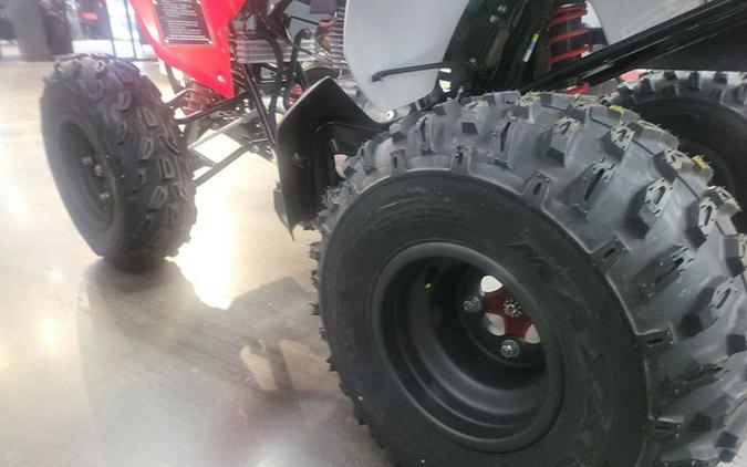 2026 Honda TRX 250X