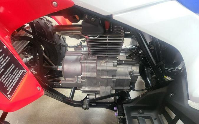 2026 Honda TRX 250X