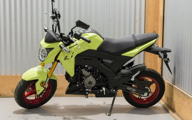 2026 Kawasaki Z125 PRO
