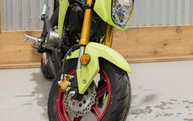 2026 Kawasaki Z125 PRO