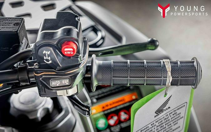 2026 Honda Fourtrax Foreman Rubicon 4X4 Automatic DCT EPS Del