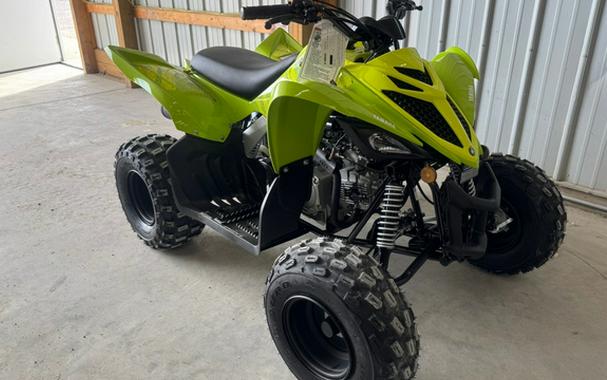 2026 Yamaha Raptor 110