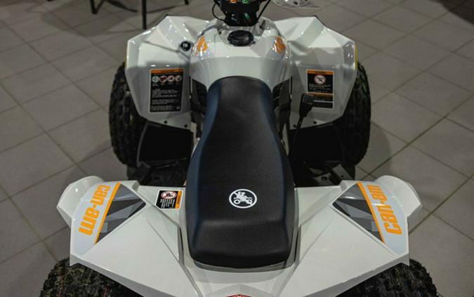 2027 Can-Am Renegade 110 EFI