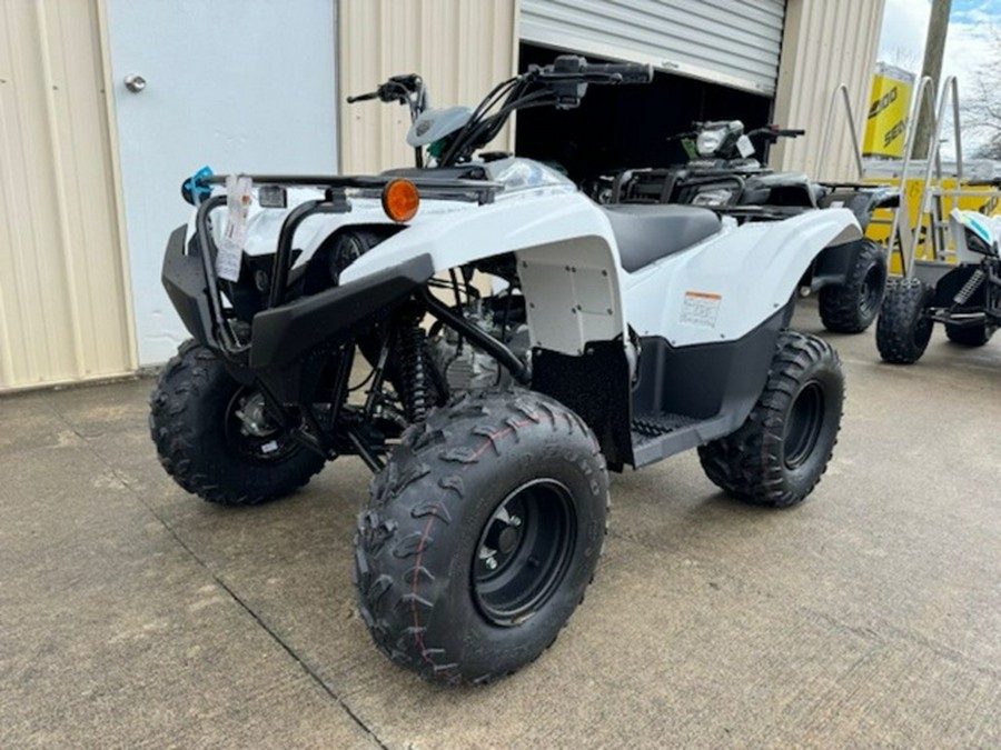 2024 Yamaha Grizzly 90