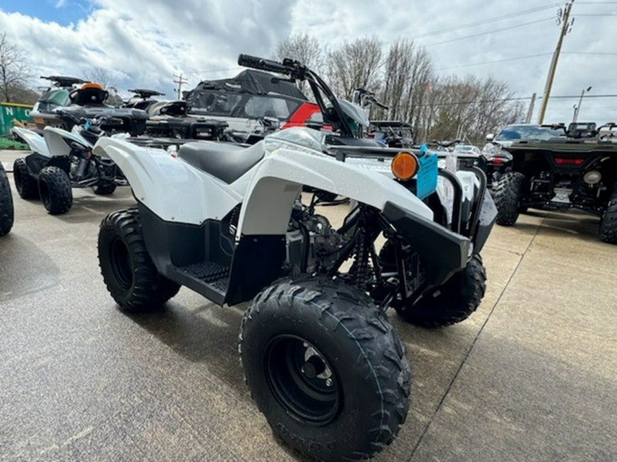 2024 Yamaha Grizzly 90