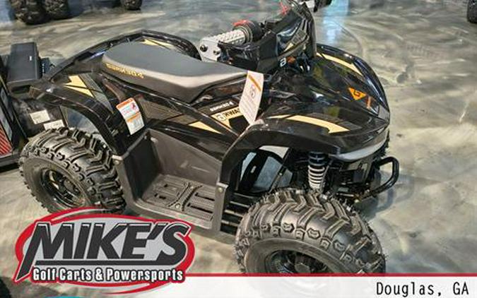 2026 Denago Powersports E-Hawk 6