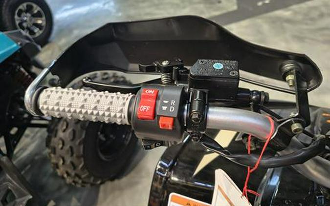 2026 Denago Powersports E-Hawk 6