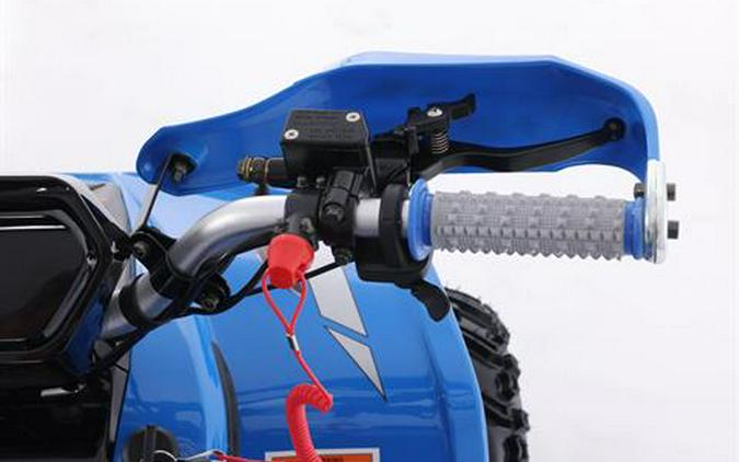 2026 Denago Powersports E-Hawk 6