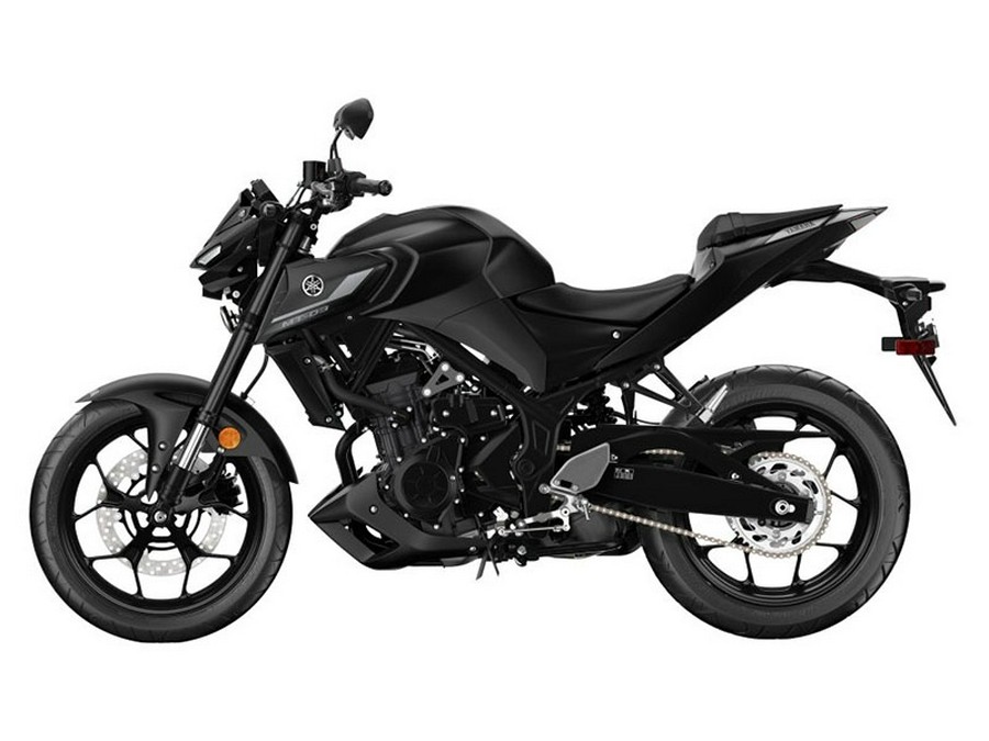 2024 Yamaha MT 03