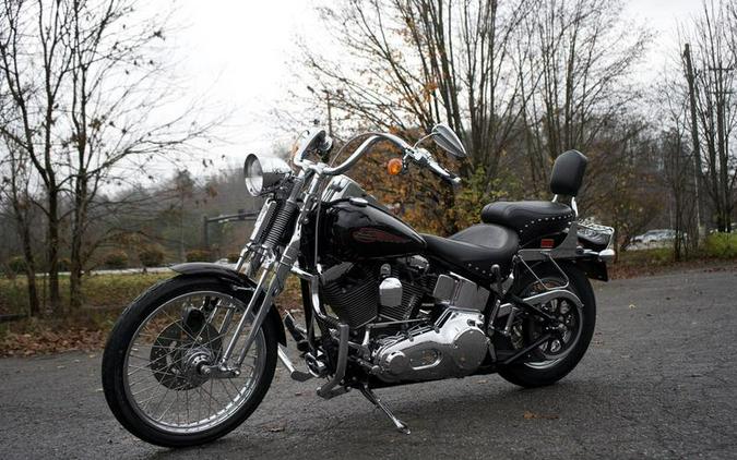2002 Harley-Davidson® FXSTS - Springer Softail®
