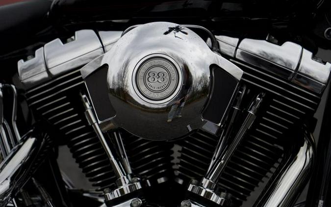 2002 Harley-Davidson® FXSTS - Springer Softail®