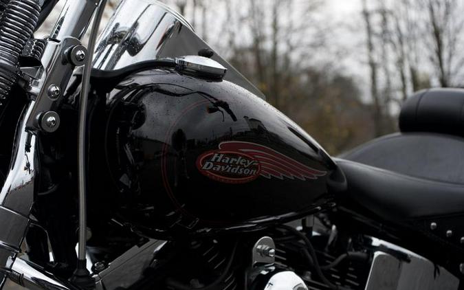 2002 Harley-Davidson® FXSTS - Springer Softail®