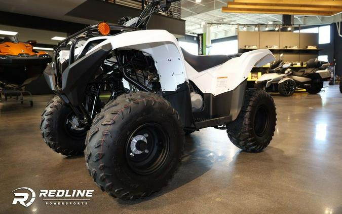 2024 Yamaha Grizzly 90