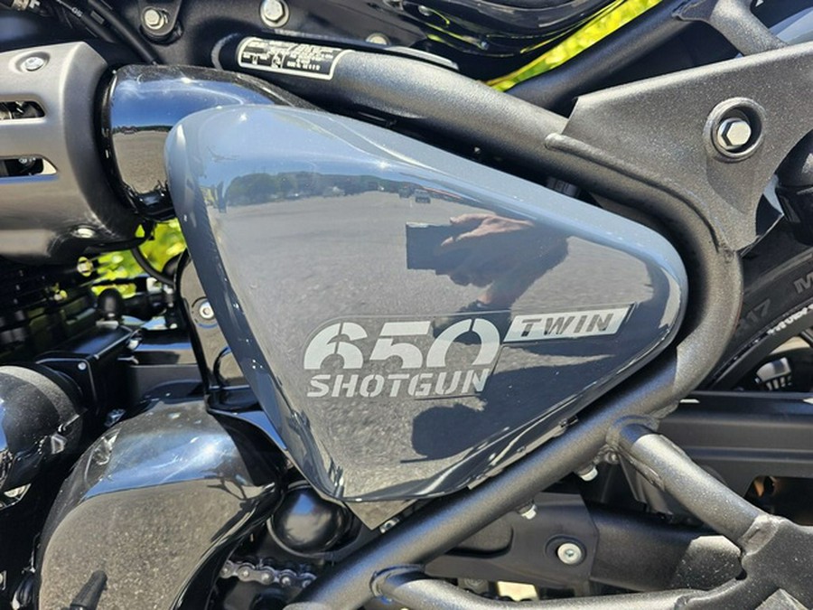2024 Royal Enfield Shotgun 650 Sheet Metal Grey 650