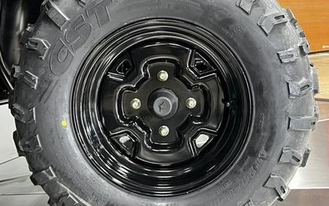 2026 Polaris® RZR 200 EFI