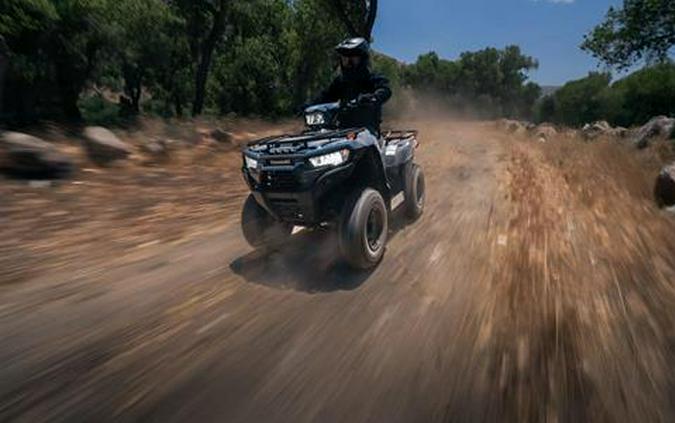 2026 Kawasaki Brute Force® 300