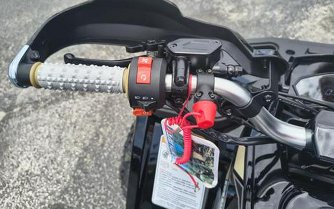 2026 Denago Powersports Mudhawk 10FI