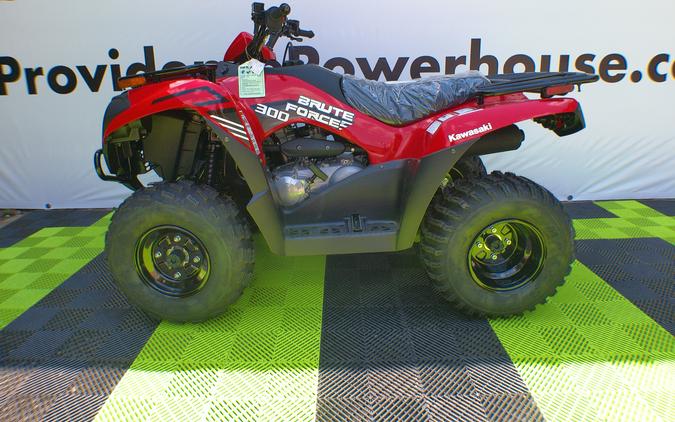 2024 Kawasaki Brute Force® 300