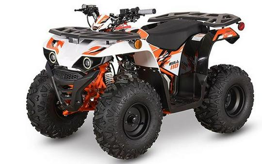 2026 Kayo Bull 110