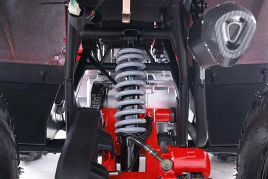 2026 Denago Powersports Mudhawk 10FI