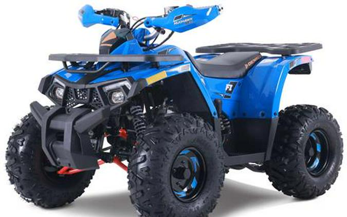2026 Denago Powersports Mudhawk 10FI