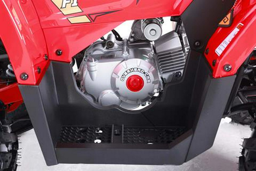 2026 Denago Powersports Mudhawk 10FI