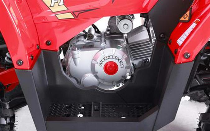 2026 Denago Powersports Mudhawk 10FI